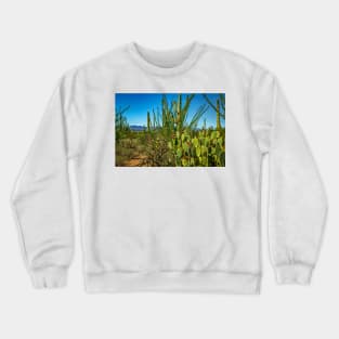 Saguaro National Park Crewneck Sweatshirt